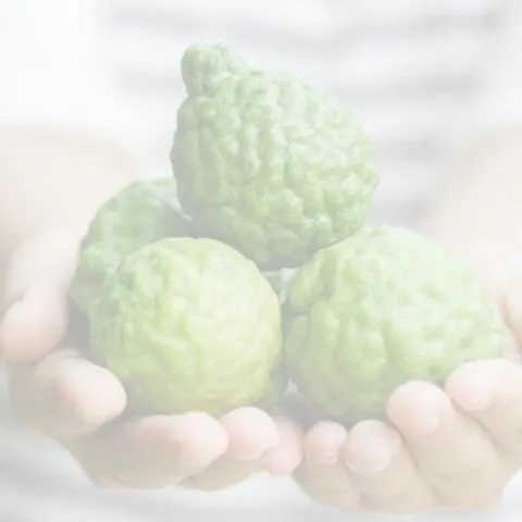 woman holding a handful of Bergamot