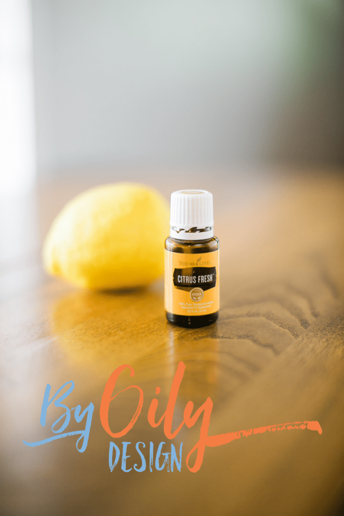 How to make the BEST all natural homemade body wash By Oily Design