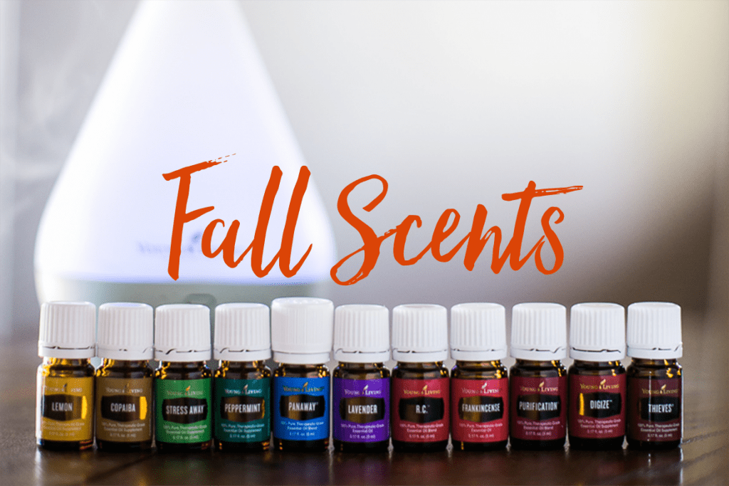 How to use Essential oils to create an amazing fall scent in your home. DIY essential oil blends for fall. Autumn blends for diffusing. www.byoilydesign.com YL#3177383