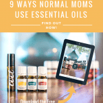 essential oil bottles and diffuser