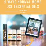 essential oil bottles and diffuser