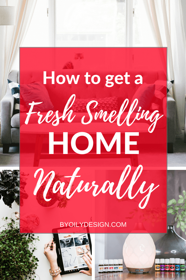 naturally fresh smelling home with plants and essential oils showing how to make your house smell good