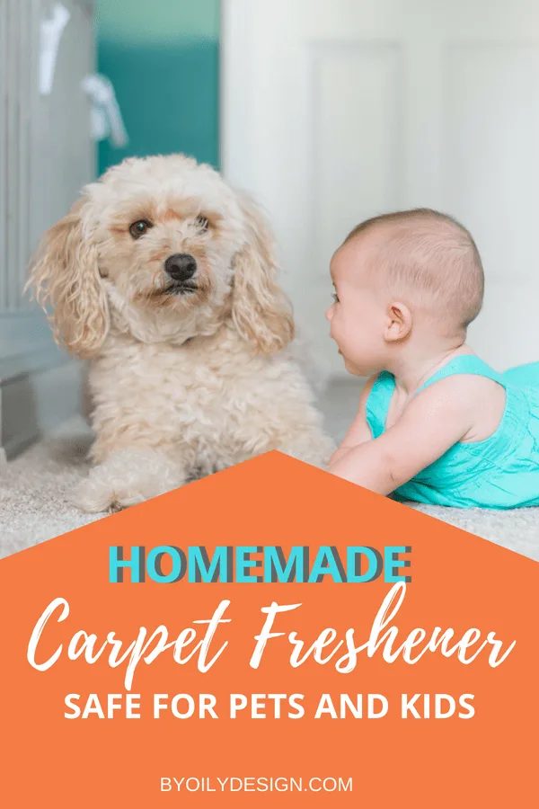 5 Carpet Freshener Recipes Will Make Your Smell Cleaner Than Ever By Oily Design