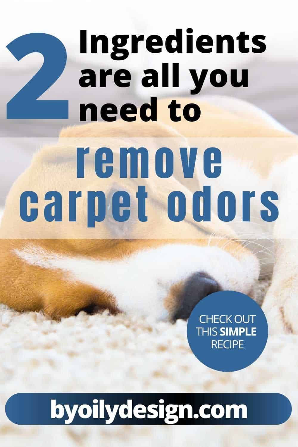 5 Carpet Freshener Recipes Will Make Your Carpet Smell Cleaner Than