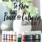 bottle of peace and calming essential oil with 11 other young living essential oils and a desert mist diffuser behind the oils. All are on a wooden table by a window with a plant