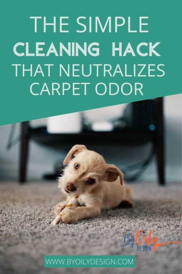 5 Carpet Freshener Recipes Will Make Your Carpet Smell Cleaner Than