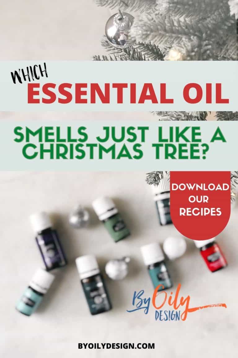 6 Amazing Christmas scents that give your home that Christmas season