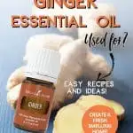 Bottle of ginger essential oil with a raw piece of ginger.
