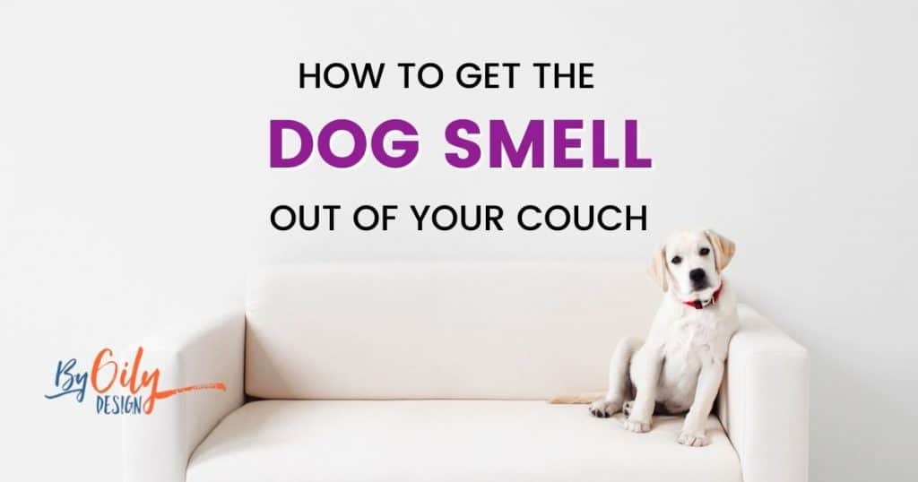 How to get dog smell out of your couch By Oily Design