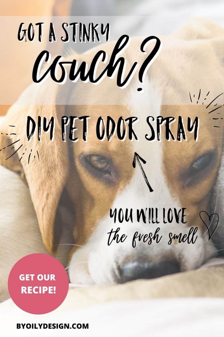 How to get dog smell out of your couch By Oily Design