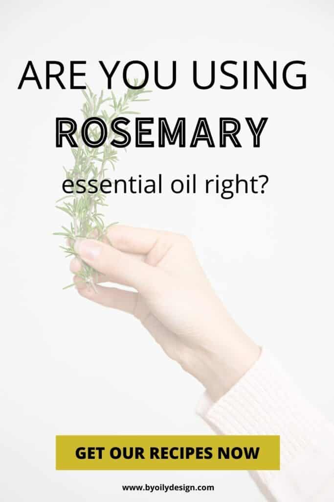 hand holding a piece of Rosemary