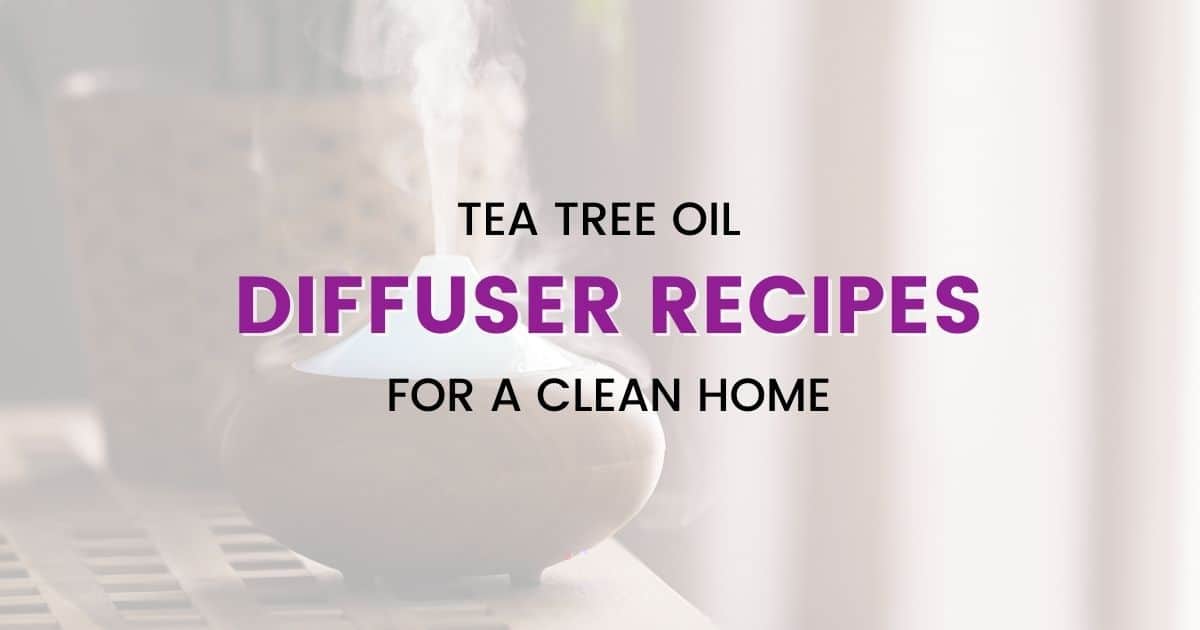 Tea tree oil diffuser recipes 10 useful diffuser blends for your