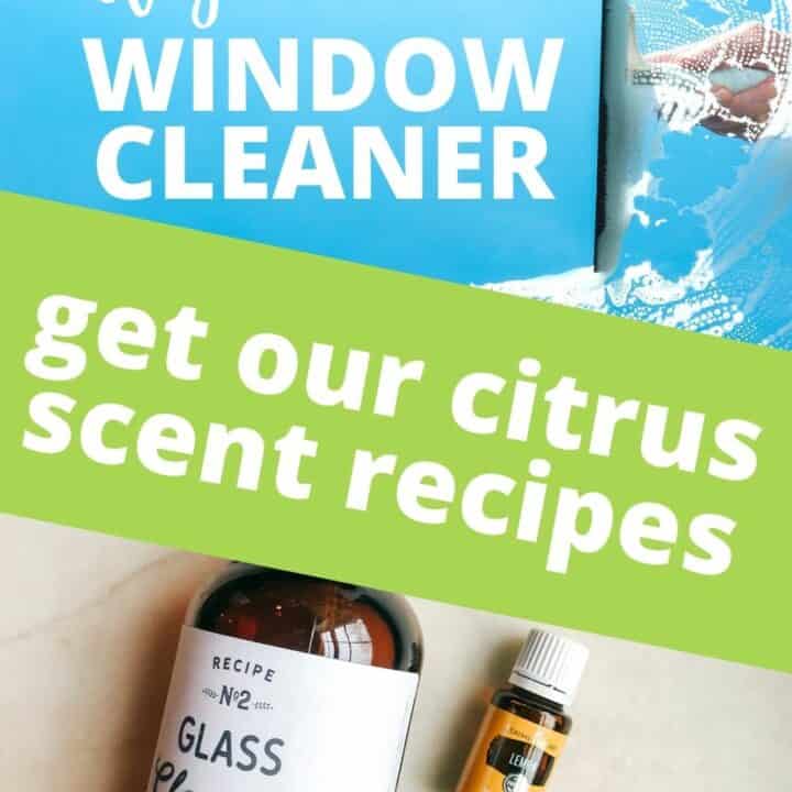 DIY Window and Glass Cleaner